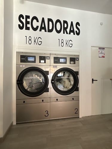 LAVANDERÍA DEL LEÓN