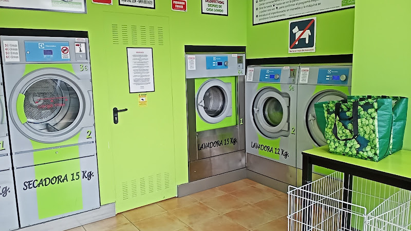 CE,colada expres renedo