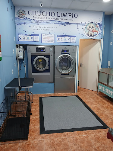 Chucho limpio lavanderia peluqueria de mascotas