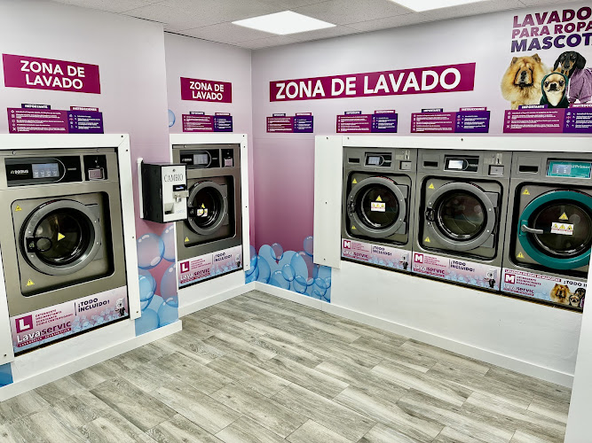 Lavanderia autoservicio Lavaservic Zapillo